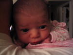 Baby 058.jpg